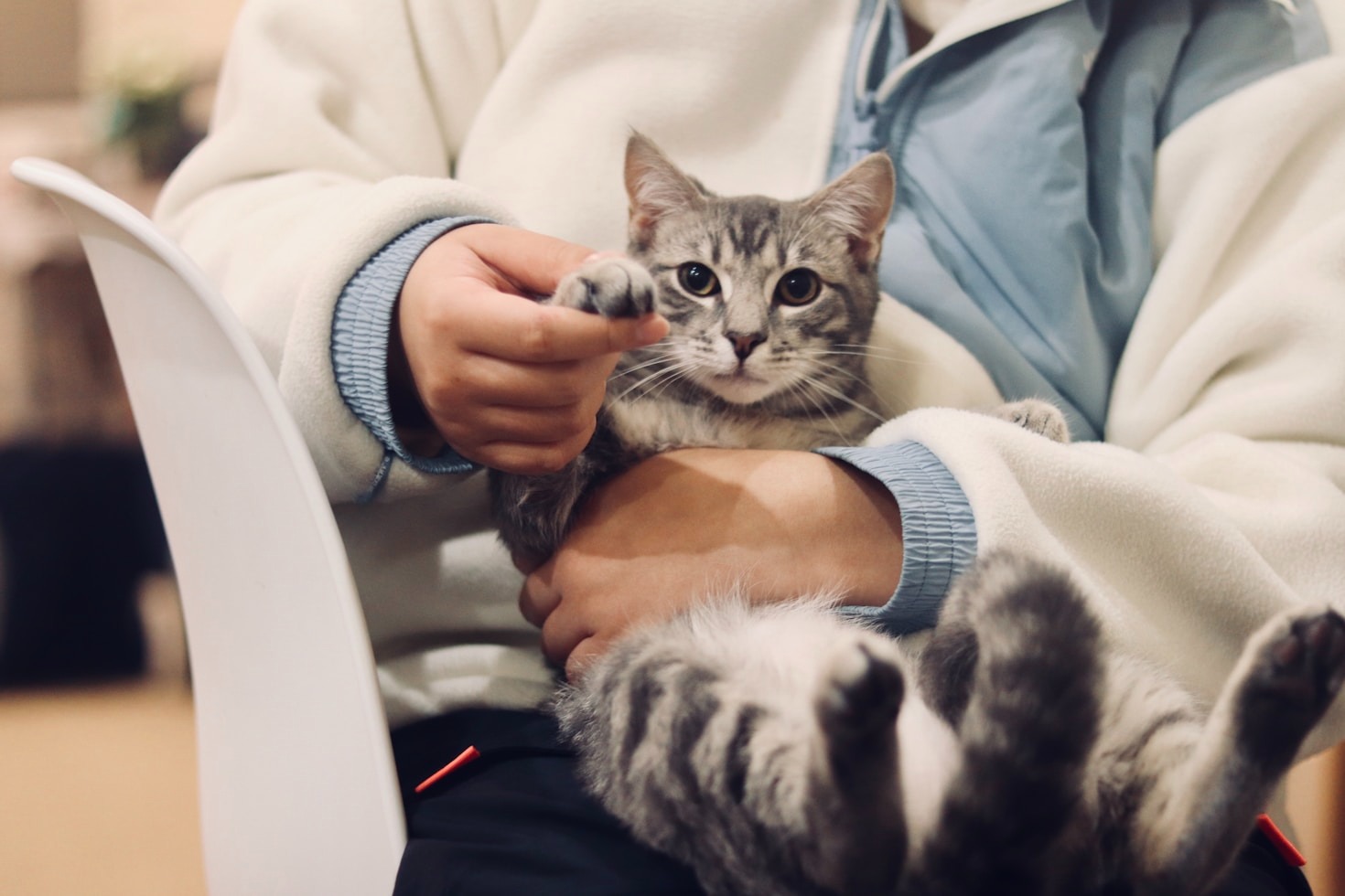A Day in the Life of a Veterinary Professional